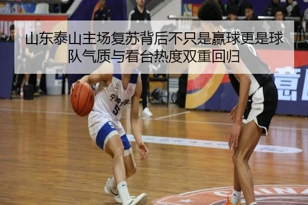山东泰山主场复苏背后不只是赢球更是球队气质与看台热度双重回归